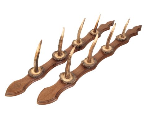 A PAIR OF EDWARDIAN ANTLER AND OAK WALL-MOUNTED WHIP RACKS 77cm (2)