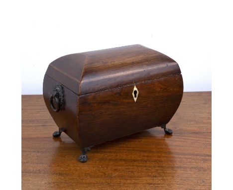 Rosewood and marquetry tea caddy19th Century, with brass ring handles, standing on brass pad feet with twin division interior
