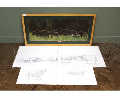 A large photograph of a group of Bison 30cm x 81cm plus four pencil sketches of Bison by Chris Christoforu