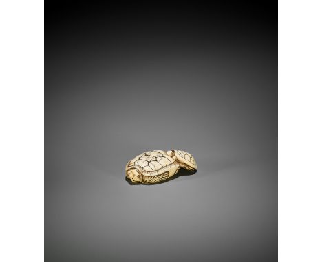 AN OLD IVORY NETSUKE OF A TURTLE WITH YOUNG UnsignedJapan, c. 1800, Edo period (1615-1868)The adult turtle retreated inside i