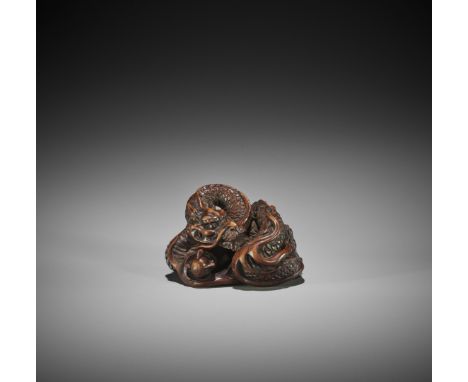 SHUSEN: A POWERFUL AND LARGE WOOD NETSUKE OF A COILED DRAGON By Shusen, signed&nbsp;Shusen 舟樂 saku 作Japan, Edo (Tokyo), late 