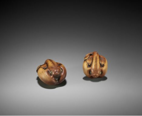 HIDE: AN UNUSUAL WOOD NETSUKE OF A FUGU By Hide, signed Hide 秀Japan, early 19th century, Edo period (1615-1868)A compact and 