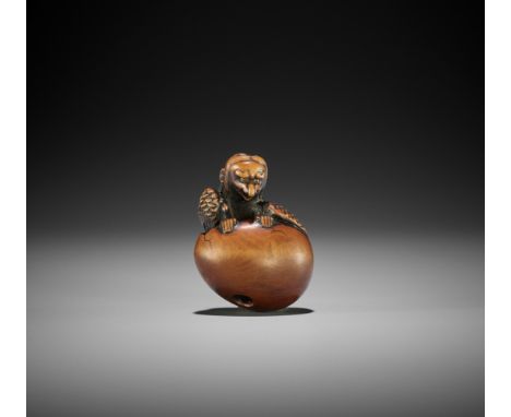 TOYOYO: A SUPERB WOOD NETSUKE OF A HATCHING TENGU By Toyoyo (Toyoyasu), signed Toyoyo 豊容Japan, Sasayama, Tanba province, firs