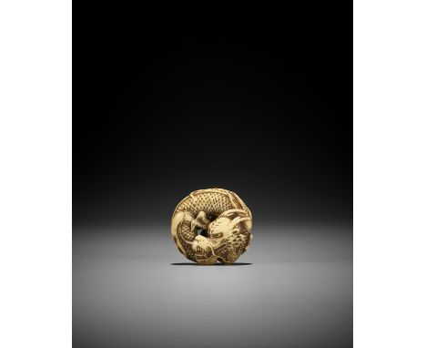 A FINE WALRUS TOOTH MANJU NETSUKE OF A COILED DRAGON UnsignedJapan, first half of 19th century, Edo period (1615-1868)Finely 
