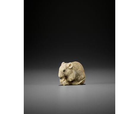 OKATORI: A SUPERB IVORY NETSUKE OF A RAT EATING A CANDLE By Yamaguchi Okatori, signed Okatori 岡隹Japan, Kyoto, early 19th cent