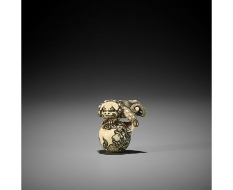 ANRAKU: A SUPERB IVORY NETSUKE OF A SHISHI WITH BALL By Shukosai Anraku, signed Anraku 安樂Japan, Osaka, first half of 19th cen