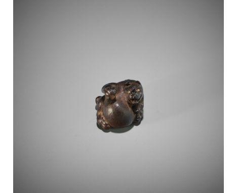 KOKEI: A FINE WOOD NETSUKE OF TANUKI HARA TSUZUMI By Kokei, signed Kokei 虎溪Japan, Kuwana, Ise province, early 19th century, E