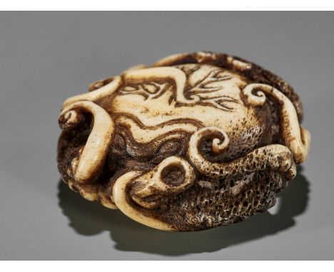 ISSHIN: A SUPERB STAG ANTLER NETSUKE OF AN ENTANGLED OCTOPUS By Isshin, signed Isshin 一心Japan, Tokyo, Asakusa, second half of