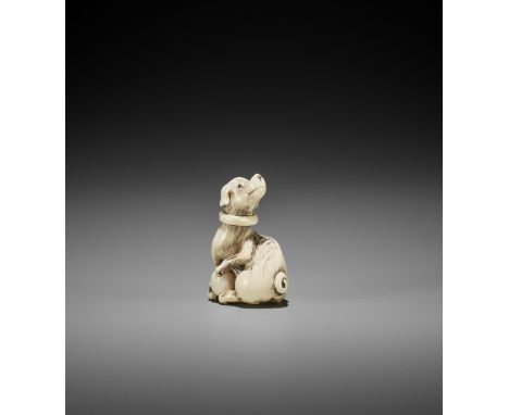 AN IVORY NETSUKE OF A DOG WITH BALL, ATTRIBUTED TO MITSUHARU Attributed to Mitsuharu, unsignedJapan, Kyoto, late 18th century