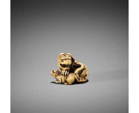 HAKURYU I: A SUPERB IVORY NETSUKE OF A TIGER AND CUB By Unsho Hakuryu I, signed Hakuryu 白龍Japan, Kyoto, early 19th century, E