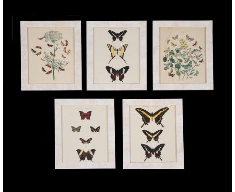 A set of twenty-three decorative butterfly and moth prints, chromolithographs after J. L. Goffart after drawings by B.R., eac
