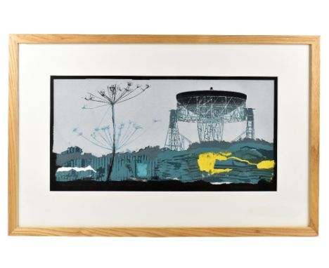 D.A EVANS; screen print, 'The Observation of Nature #8 Dark Against Light (Jodrell)', signed and titled in pencil, 26.5 x 52.
