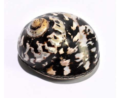 MAPPIN BROS (PROBABLY); a 19th century shell snuff box with white metal mount engraved with Masonic emblems, length 6cm.Addit