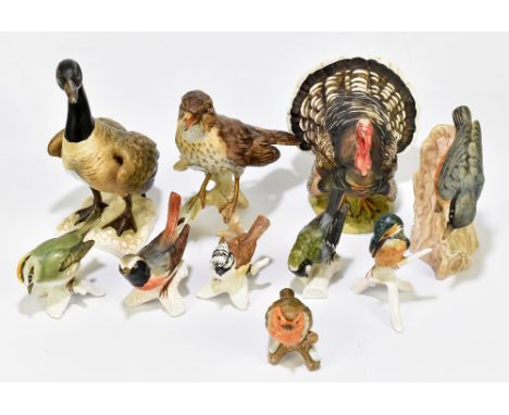 GOEBEL; a collection of bird figures including a Canada goose, a turkey, etc (10).