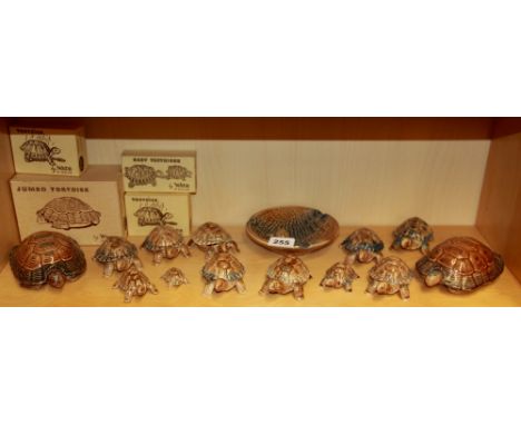 A collection of Wade tortoises.