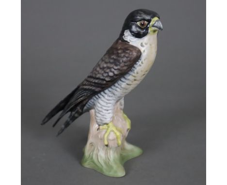 Vogelfigur "Wanderfalke" - Goebel, Biskuitporzellan, polychrom bemalt, auf Baumstumpfsockel sitzend, Boden mit Manufakturmark