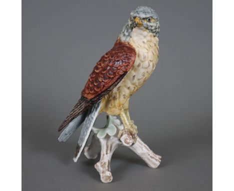Vogelfigur "Turmfalke" - Goebel, Entwurf von Gerhard Skrobek (1922-2007), Biskuitporzellan, polychrom bemalt, auf belaubtem A