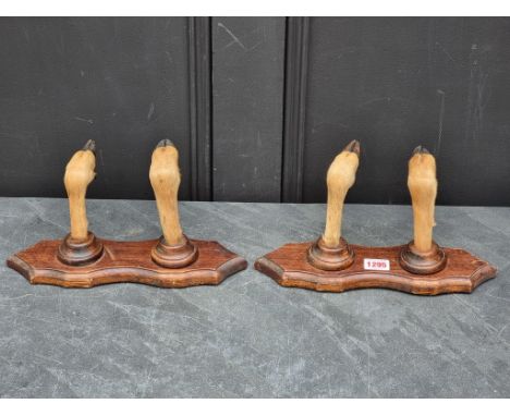 Taxidermy: a pair of deer's hoof coat hooks, 30cm wide. (2)