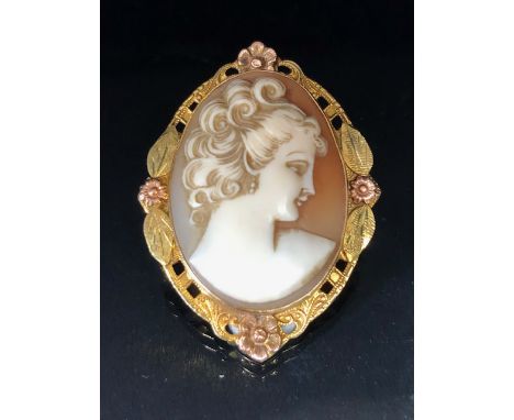 10ct gold Cameo, carved shell portrait cameo of a young woman set in a 2 colour gold frame of leaf design, total weight appro