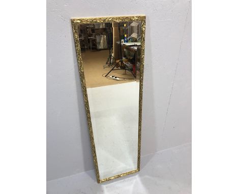 Decorative Mirror, modern long dressing mirror with bevelled edge in gilt leaf pattern frame, approximately 120 x 37cm
