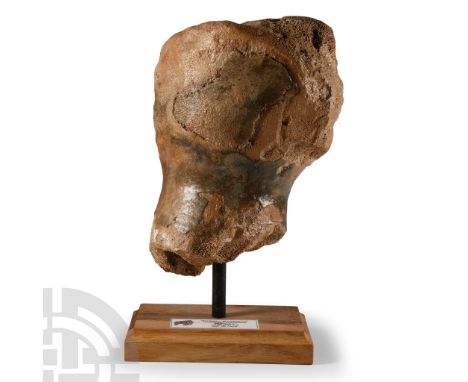 Devensian Period, 110,000-12,000 years B.P. Comprising a section of Mammuthus primigenius humerus bone; mounted on a custom-m