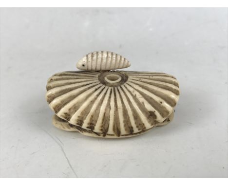 A Meiji Japanese bone netsuke modelled as a turtle and sea slug