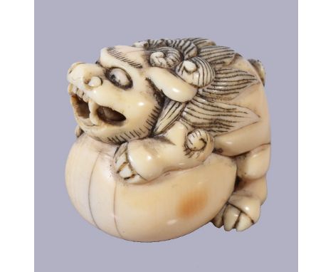 ϒA Japanese Ivory Netsuke of a Shishi, the animal snarls revealing the ball within its mouth as it attempts to clamber onto a