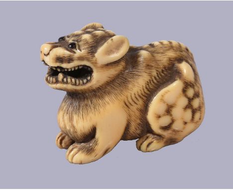 ϒKyoto School: A Japanese Ivory Netsuke of a Wolf, the lupine creature crouched with tail wrapped around its flank and its mo