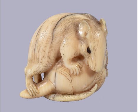 ϒHogen Rantei: A Japanese Netsuke of a rat climbing upon a sprouting vegetable, the hairwork etched in black, eyes inlaid in 