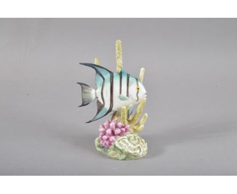 A Royal Worcester 'Spade Fish' ceramic figurine, on a naturalistic base, marked to the underside and numbered 3579, 13cm high