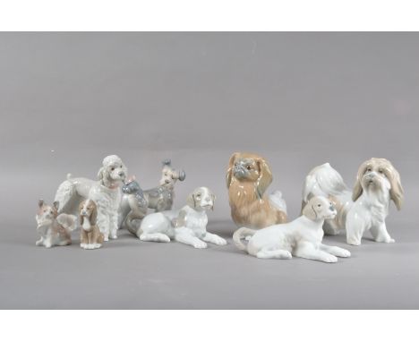 A collection of Lladro porcelain dog figurines, of a variety of breeds, one a bisque example, the largest 15cm H x 16cm W, th