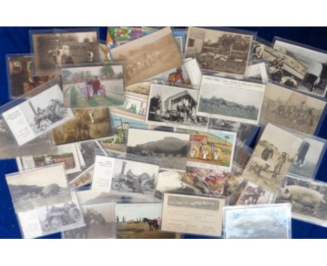 Postcards, Agriculture, a collection of 70+ postcards RPs, printed and artisit drawn to include Kainit and Potash Manures Oat