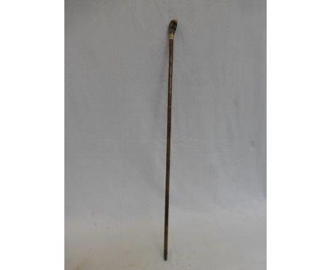 A slim walking stick with a carved parrot's head knop. 