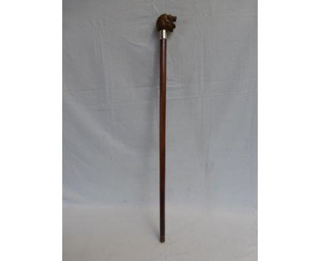 A Malacca shafted walking stick with glass eyed lion's head ad silver band. 