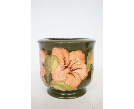 Moorcroft hibiscus pattern planter Height 13 cm 