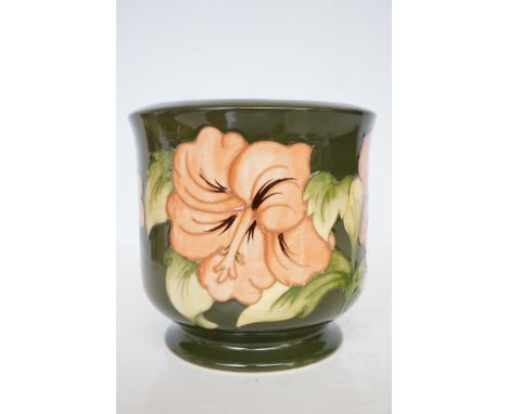 Moorcroft hibiscus pattern planter Height 17 cm 