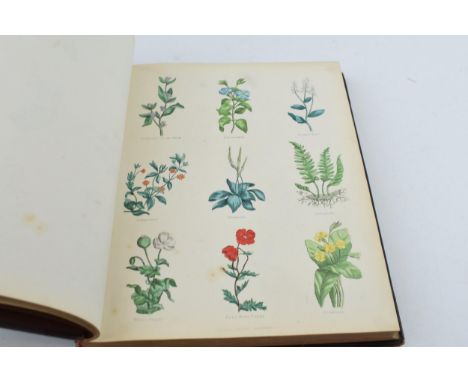 Culpeppers Herbal 'The Complete Herbal' by Nicholas Culpeper M.D. With hand-tinted colour plates. Printed by Thomas Kelly, 17