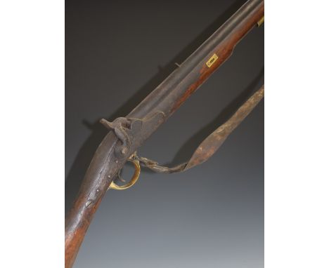 Unnamed 16 bore percussion hammer action gun with brass trigger guard, butt plate and mounts, sling mounts, steel ram-rod, le