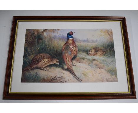 Four Archibald Thorburn limited edition prints of game birds including pheasants, woodcock and partridge, all 124 of 400, fra