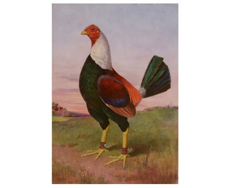 JAMES EDWARD DEAN (19TH CENTURY) Portrait of a fighting cock in a landscape with cottage in the distance, signed, oil on porc