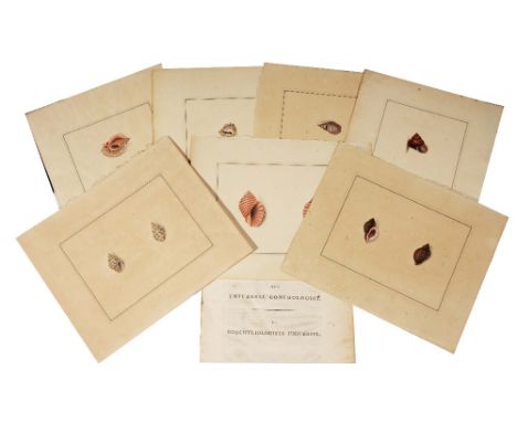 THOMAS MARTYN (fl.1760-1816) The Universal Conchologist, a collection of thirty five plates from the work, no date but 1784 a