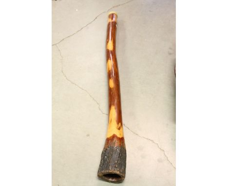 An Aboriginal Ecalyptus tree Didgeridoo with beeswax mouth piece.