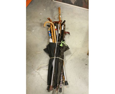 A large quantity of walking stick parasols etc.