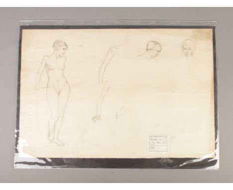 Jessie Wilson (British, late 19th/early 20th Century), nude studies, signed and dated 1915/16 on Glasgow School of Art label,