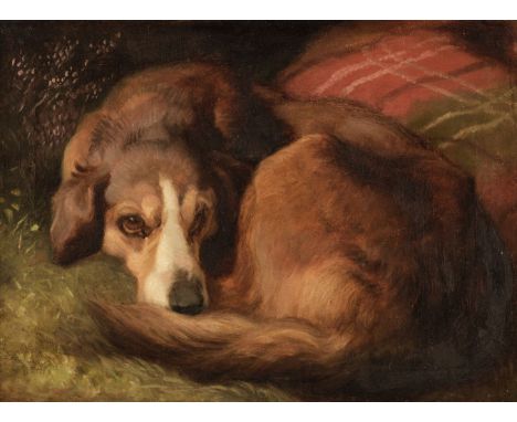 * Scottish School. Portrait of a Dog, circa 1870, oil on canvas, a mixed breed dog (possibly a Setter), lies curled up on the