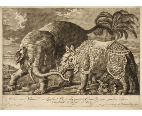 * Van den Berge (Pieter, 1659-1737). Portrait au Naturel d'un Elephant et d'un Rinoceros Arrivez de puis peu des Indes Orient