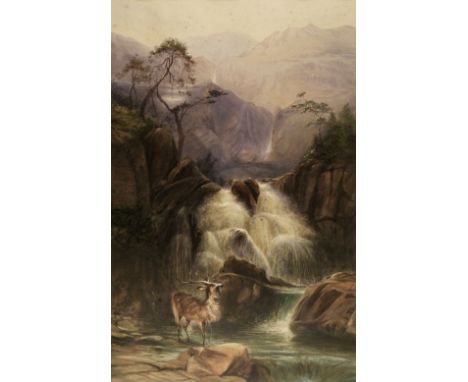 * Sutcliffe (Thomas, 1828-1871). The Stag, watercolour heightened with bodycolour, with scratching out, signed and 'Leeds' to