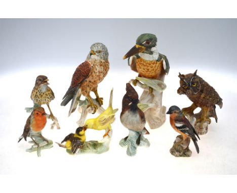 Eight Goebel bird models - Kingfisher, 25.5 cm; Falcon, 23 cm; Screech Owl, 17.5 cm; Song Thrush, 16 cm; Waxwing, 17 cm; Cana