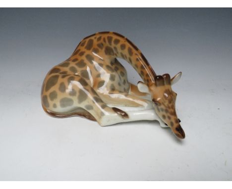 A LARGE USSR CERAMIC RECUMBENT GIRAFFE, printed marks to base, H 13.5 cm, W 26.5 cm