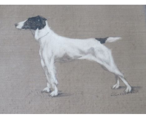 H.A. CAMERON-ROSE (XIX-XX). Portrait study of a terrier, signed mid to lower right, mixed media on paper laid on card, framed